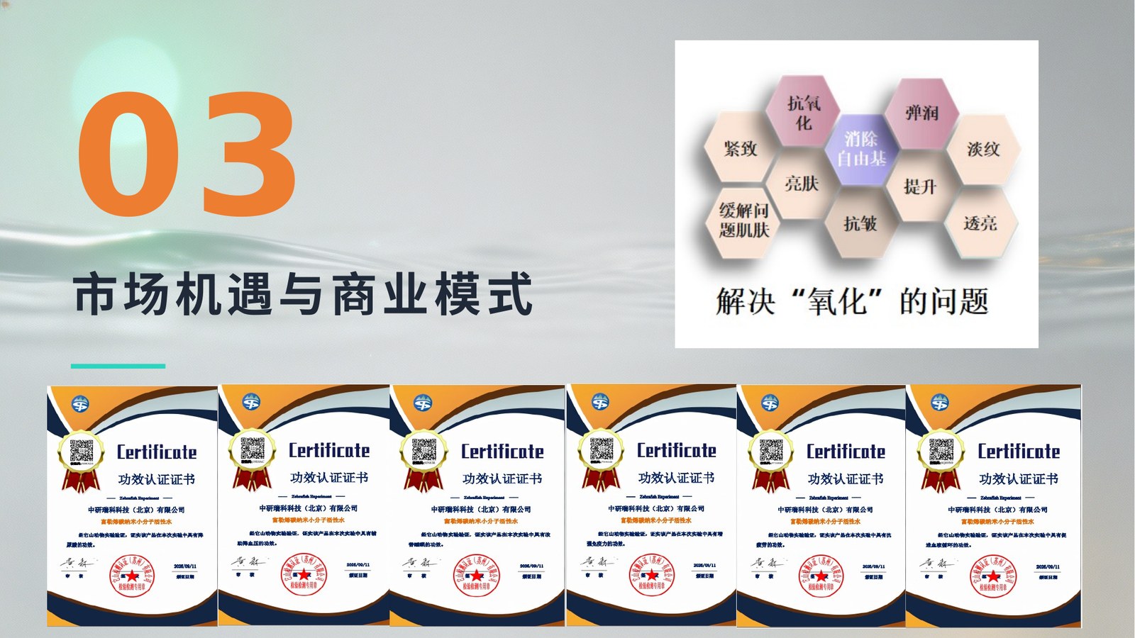 市场机遇与商业模式